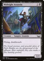 Midnight Assassin