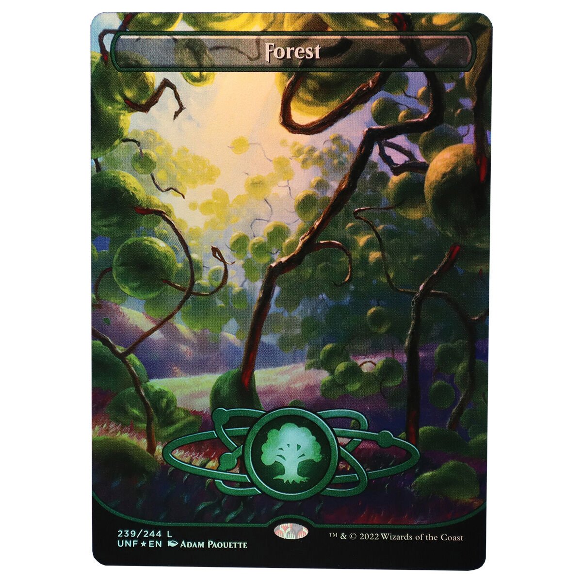 Forest 239 [Borderless] - (Holo)