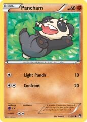 Pancham 71/122 Reverse Holofoil/Common