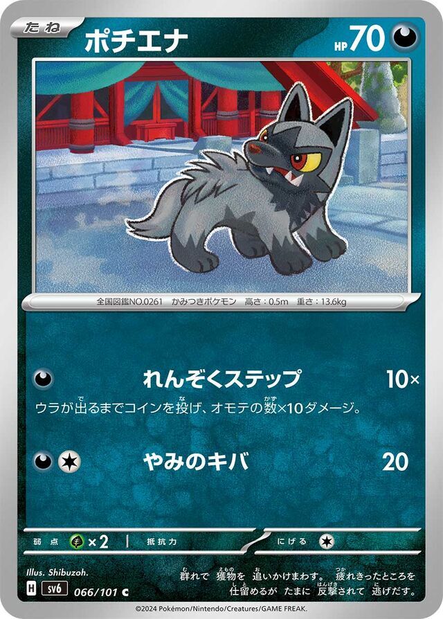 Poochyena 066/101 Normal/Common