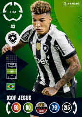 Igor Jesus #43