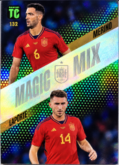 Merino & Laporte #232 - Magic Mix