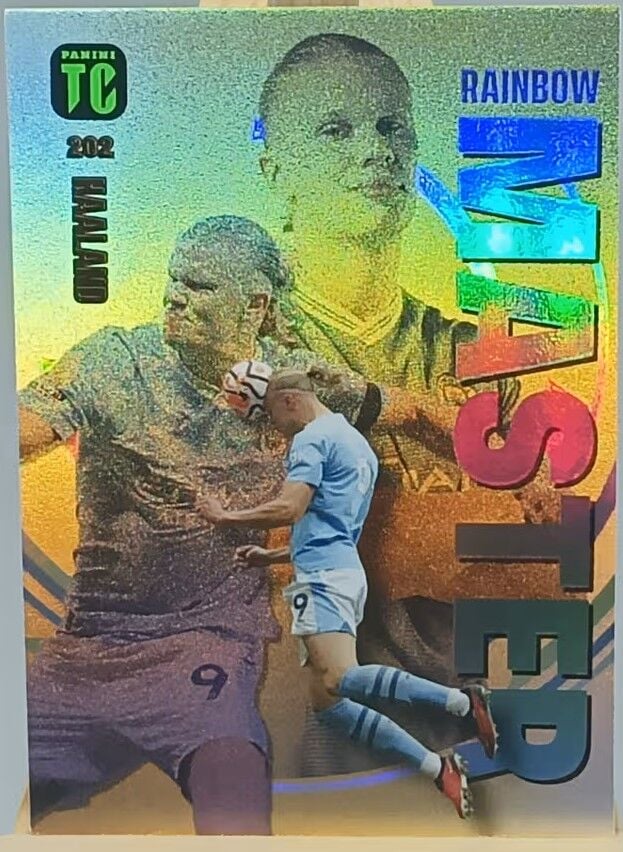 Erling Haaland #202 Rainbow Master