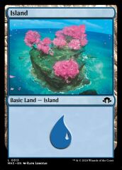 Island L 0313 (Holo)