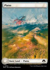 Plains L 0304