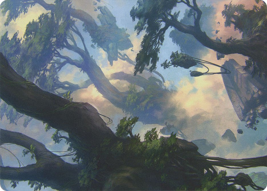 Forest (Art Card) 19/81