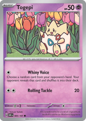Togepi 083/197 Normal/Common